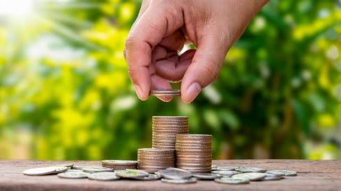 cutting optimization software free